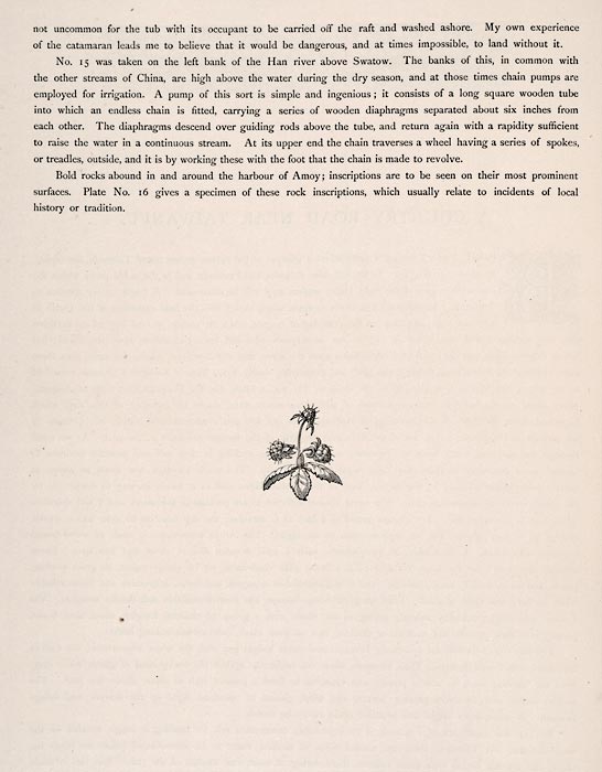 ct2026_1128768